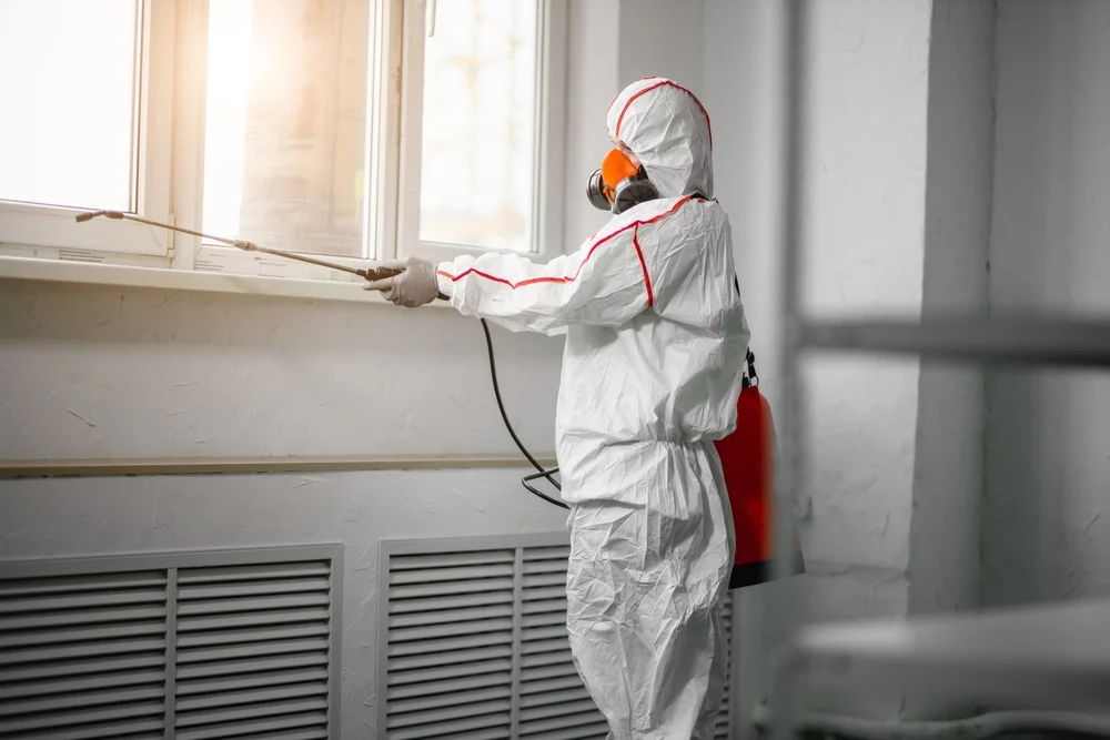 Professional mold remediation services in Ocean View, HI